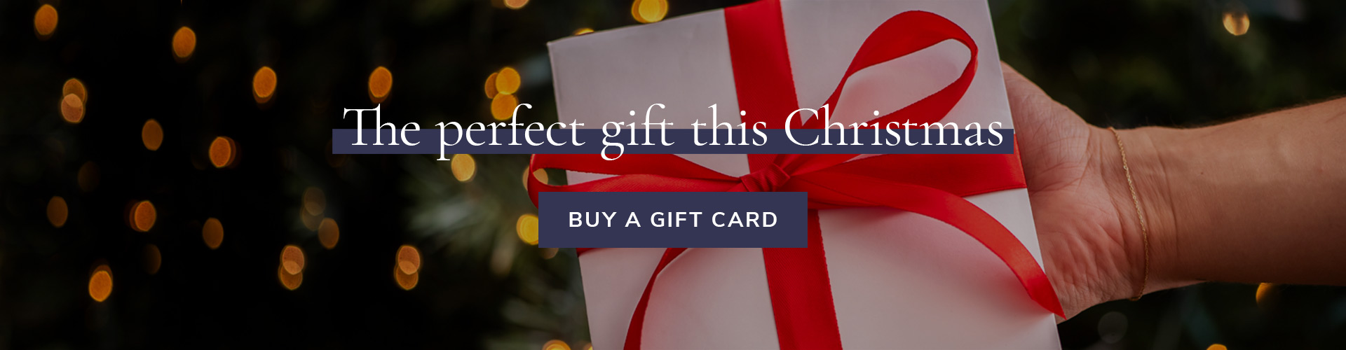 View our events for the upcoming holiday season. Christmas at The Builder's Arms in London